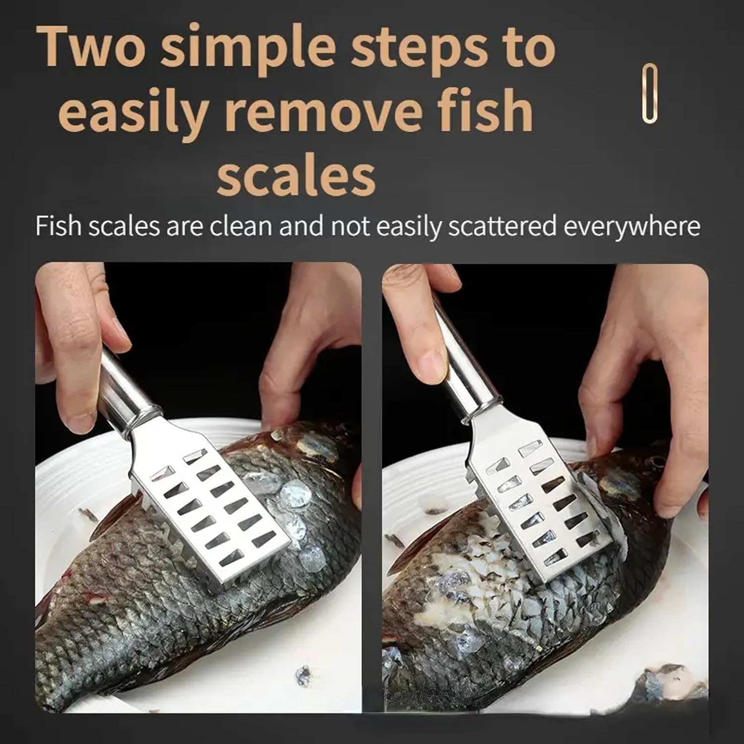 Scale It Down! 3pcs Stainless Steel Fish Scale Scraper Set - Urban Mart